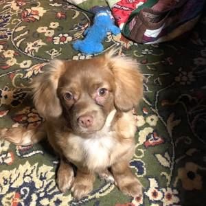 Meet your Posher, Laurie